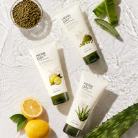HERB DAY 365 MASTER Blending Facial Foaming Cleanser - Mungbean & Mugwort
