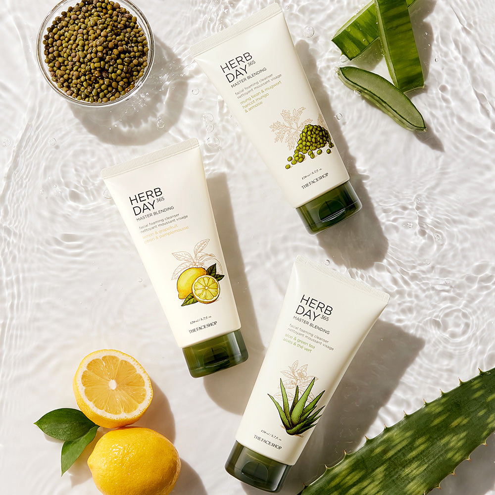 HERB DAY 365 MASTER Blending Facial Foaming Cleanser - Mungbean & Mugwort