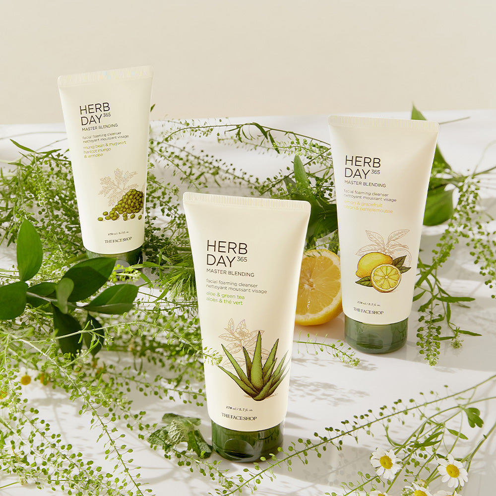 HERB DAY 365 MASTER Blending Facial Foaming Cleanser - Mungbean & Mugwort