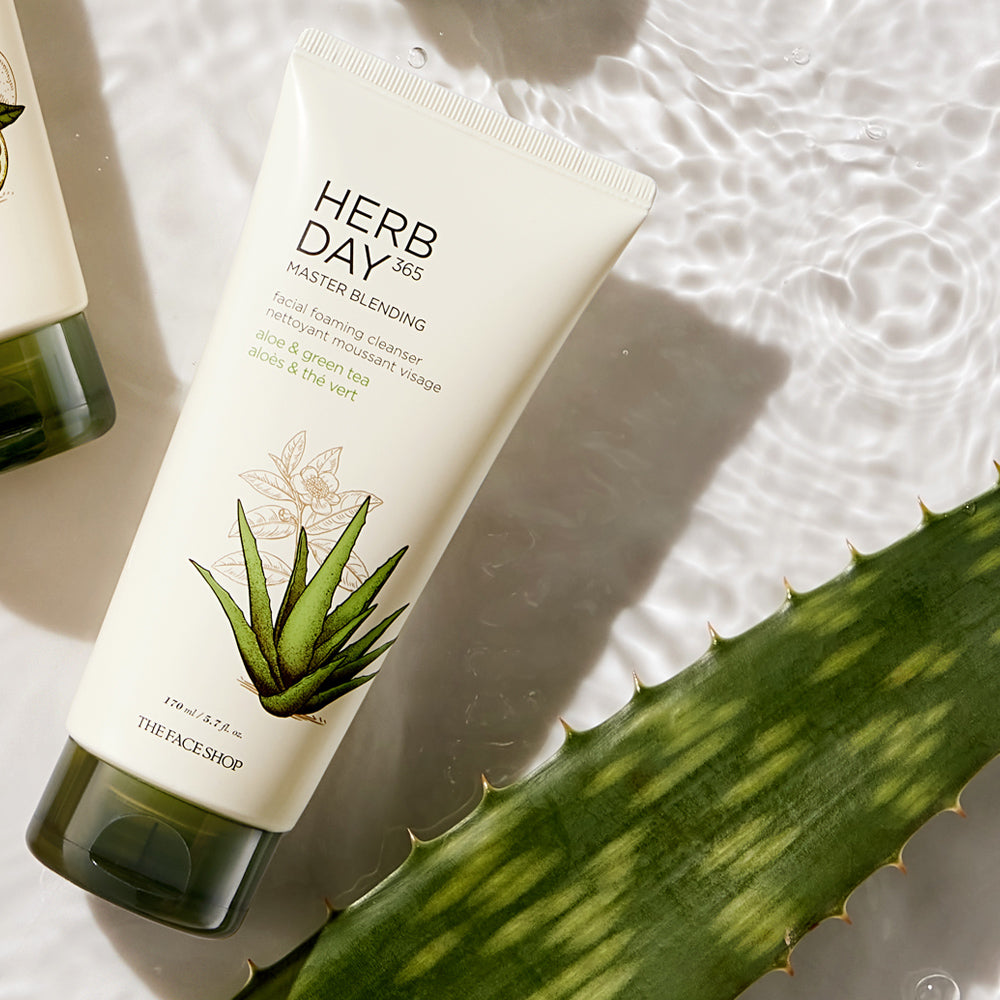 HERB DAY 365 MASTER Blending Facial Foaming Cleanser - Aloe & Greentea