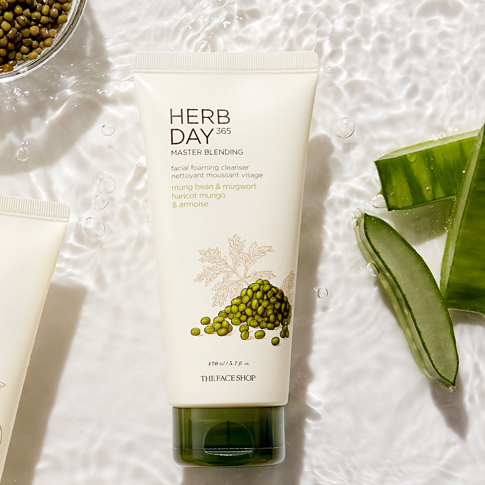 HERB DAY 365 MASTER Blending Facial Foaming Cleanser - Mungbean & Mugwort