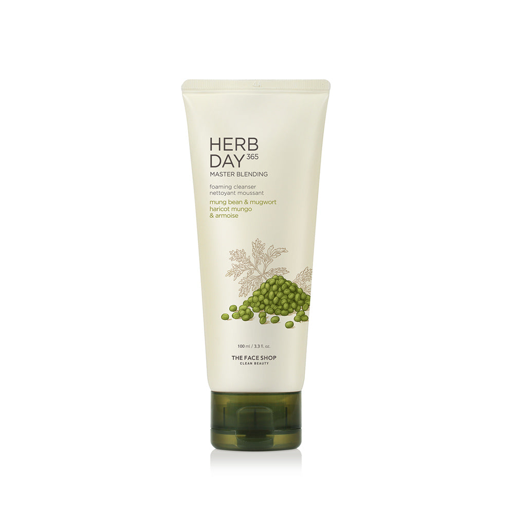 HERB DAY 365 MASTER Blending Facial Foaming Cleanser - Mungbean & Mugwort