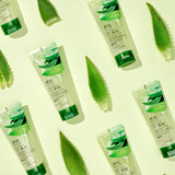 JEJU ALOE Fresh Soothing Foam Cleanser
