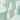 TEA TREE Pore Ampoule