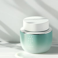 YEHWADAM Artemisia Soothing Moisturizing Cream