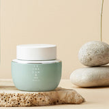 YEHWADAM Artemisia Soothing Moisturizing Cream